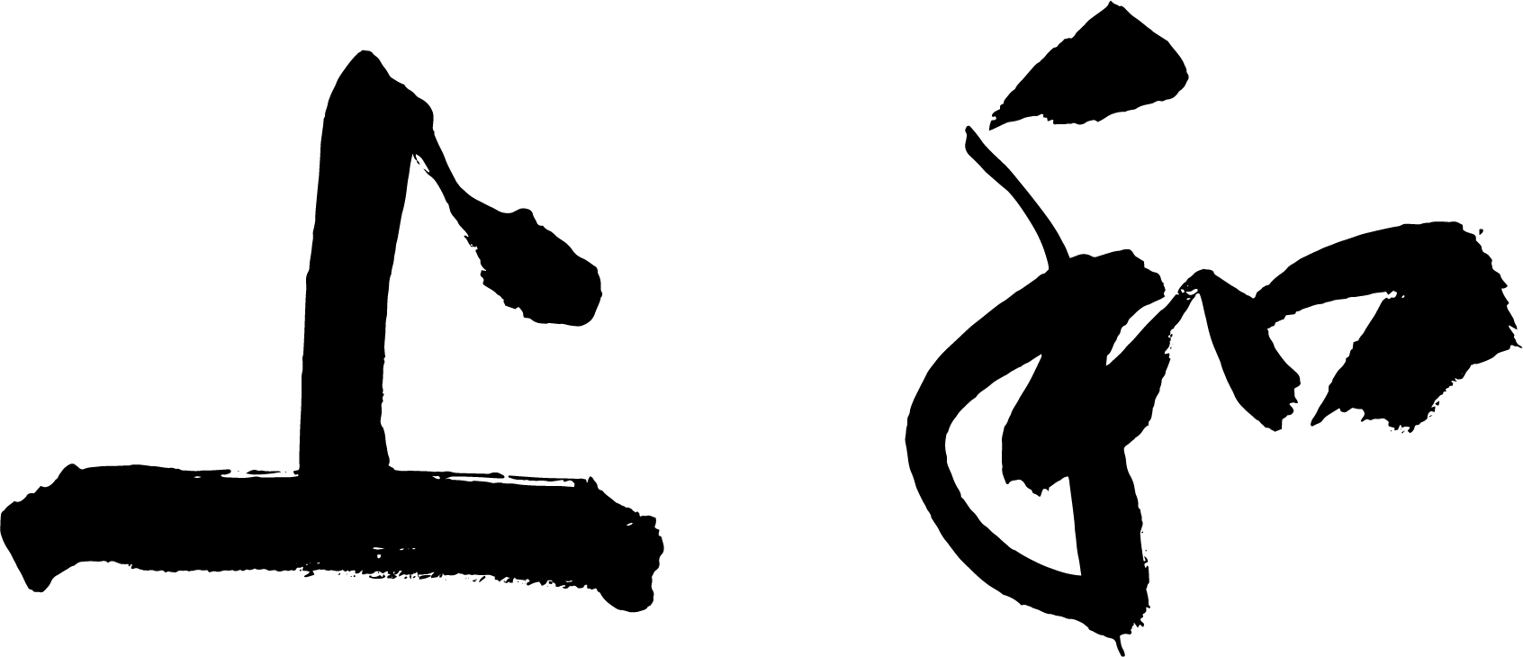 尊龙时凯科技